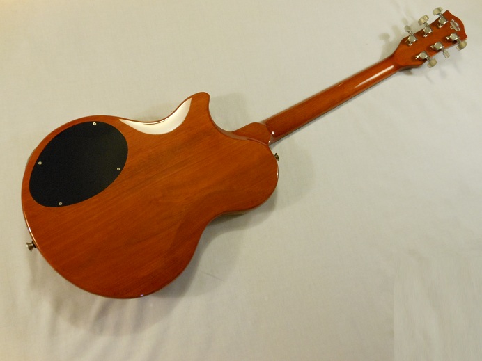 SSC-33 Picture 2